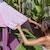 Tente de plage enfant avec filet respirant Multicolore+Rose 7 - vertbaudet enfant 