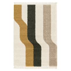 -Tapis épais à franges colorado