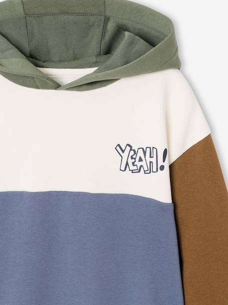 Sweat à capuche colorblock garçon multicolore+noisette 9 - vertbaudet enfant 
