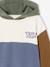 Sweat à capuche colorblock garçon multicolore+noisette 9 - vertbaudet enfant 