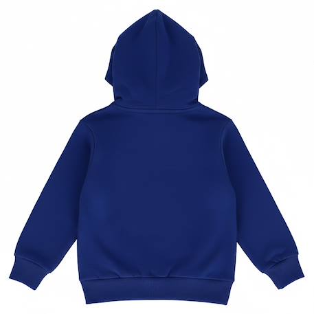 Sweat à capuche garçon 'mario' manches longues molletonné Bleu 3 - vertbaudet enfant 