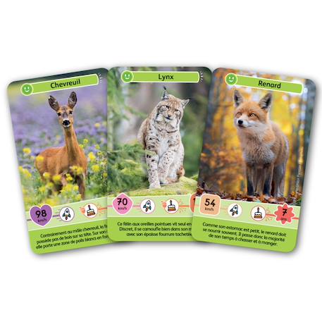 Jeu de cartes - défis nature junior - animaux de la forêt- dès 7 ans - 1 à 4 joueurs - fabriqué en france et éco-conçu Multicolore 3 - vertbaudet enfant 