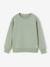 Lot de 2 sweats garçon col rond vert sauge 1 - vertbaudet enfant 