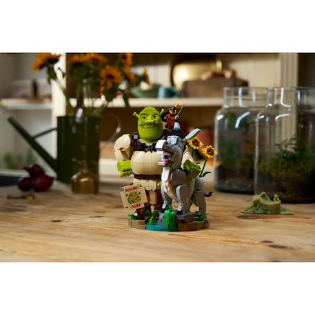 Shrek, l'âne et le chat 72423 Multicolore 3 - vertbaudet enfant 