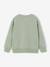 Lot de 2 sweats garçon col rond vert sauge 3 - vertbaudet enfant 