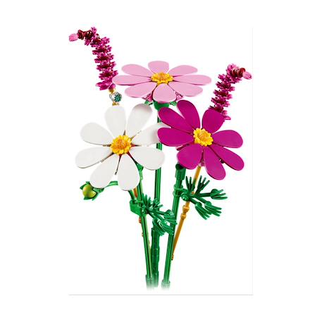 Botanicals les cosmos 11514 Multicolore 2 - vertbaudet enfant 