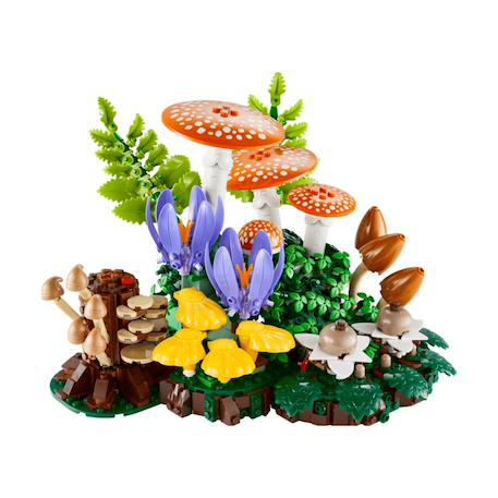 Botanicals les champignons des bois 11505 Multicolore 2 - vertbaudet enfant 