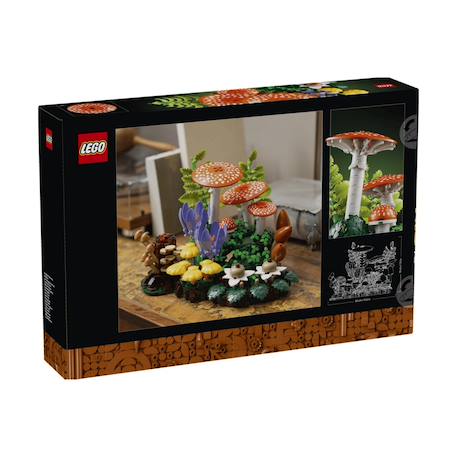 Botanicals les champignons des bois 11505 Multicolore 6 - vertbaudet enfant 