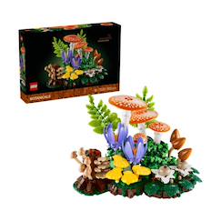 -Botanicals les champignons des bois 11505
