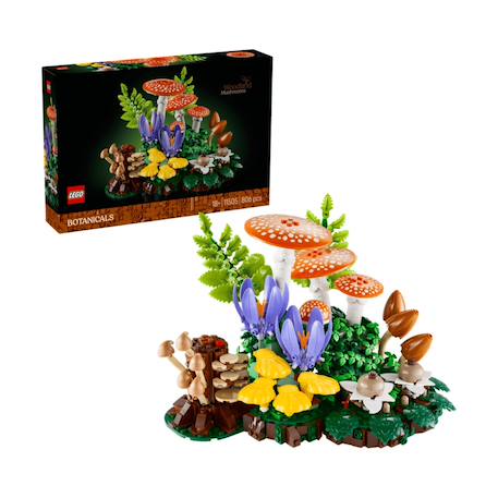 Botanicals les champignons des bois 11505 Multicolore 1 - vertbaudet enfant 