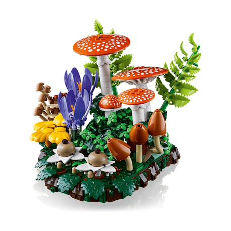 Botanicals les champignons des bois 11505 Multicolore 3 - vertbaudet enfant 