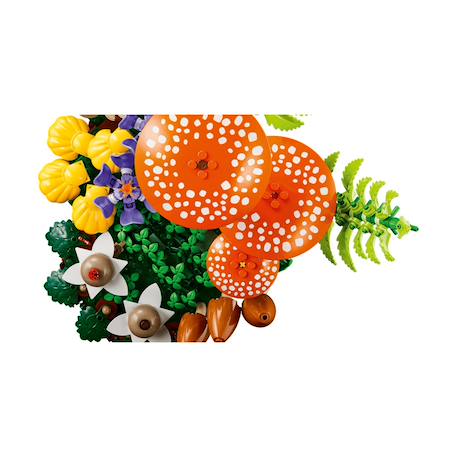 Botanicals les champignons des bois 11505 Multicolore 4 - vertbaudet enfant 