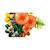 Botanicals les champignons des bois 11505 Multicolore 4 - vertbaudet enfant 