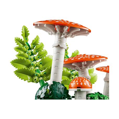 Botanicals les champignons des bois 11505 Multicolore 5 - vertbaudet enfant 