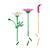 Botanicals les cosmos 11514 Multicolore 4 - vertbaudet enfant 