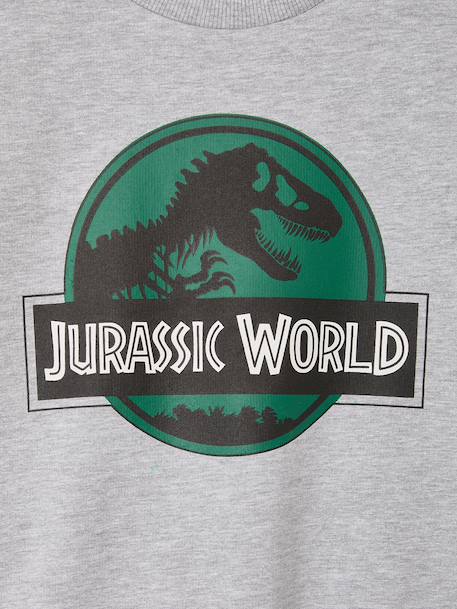 Sweat garçon Jurassic World gris chiné 3 - vertbaudet enfant 