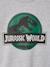 Sweat garçon Jurassic World gris chiné 3 - vertbaudet enfant 