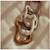 Anneaux de dentition silicone teddy bear Marron, blanc, gris 6 - vertbaudet enfant 