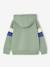Sweat garçon à capuche motif placé blanc+marine+noix de pécan+vert sauge 11 - vertbaudet enfant 