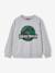 Sweat garçon Jurassic World gris chiné 1 - vertbaudet enfant 