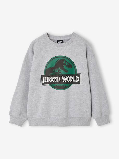 Garçon-Pull, gilet, sweat-Sweat garçon Jurassic World