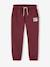 Pantalon de jogging garçon bordeaux+gris ardoise 1 - vertbaudet enfant 