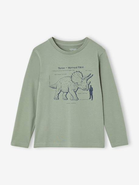 Lot de 3 T-shirts manches longues garçon caramel+lilas+rouille+vert sauge 21 - vertbaudet enfant 