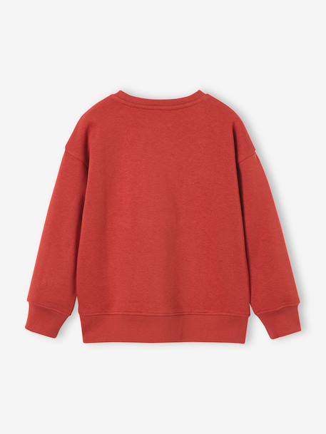 Sweat col rond garçon marine+tomette 9 - vertbaudet enfant 