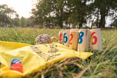Jouet-Jeux de plein air-Jeu d'adresse en bois fsc - jeu de quilles - jeu extérieur