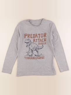 Seconde main-Garçon-T-shirt, polo, sous pull-Tee-shirt - 12 ans