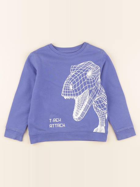 Sweat - 5 ans Bleu 1 - vertbaudet enfant 
