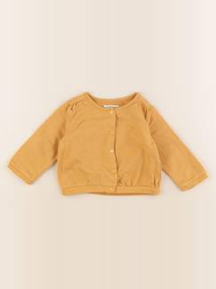 Seconde main-Fille-Pull, gilet, sweat-Sweat - 9 mois