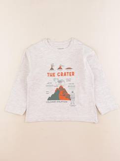 Seconde main-Garçon-T-shirt, polo, sous pull-Tee-shirt - 4 ans