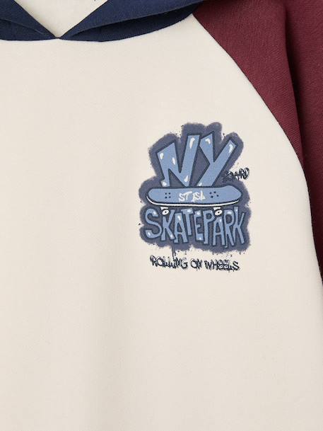Sweat à capuche garçon bordeaux 3 - vertbaudet enfant 