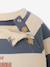 Sweat bébé en molleton bleu grisé+rayé bleu+rayé vert+tomette+vert sapin 4 - vertbaudet enfant 