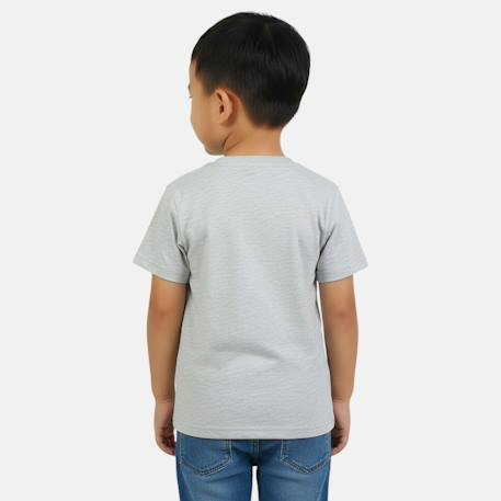 T-shirt manches courtes garçon avec personnage pat patrouille Bleu+Gris 8 - vertbaudet enfant 