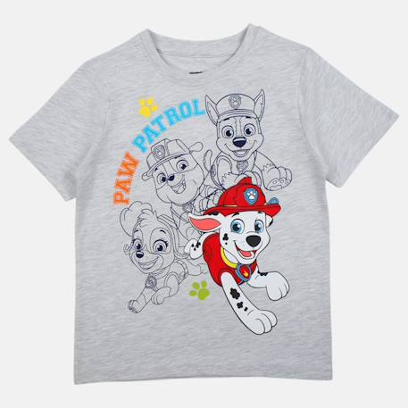 T-shirt manches courtes garçon avec personnage pat patrouille Bleu+Gris 9 - vertbaudet enfant 