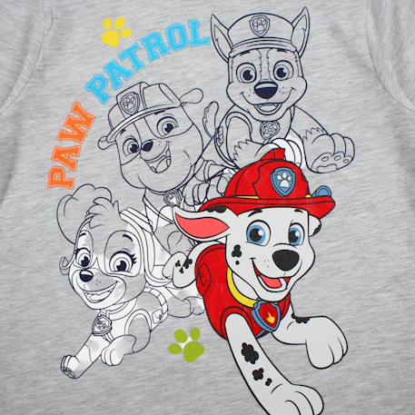 T-shirt manches courtes garçon avec personnage pat patrouille Bleu+Gris 10 - vertbaudet enfant 