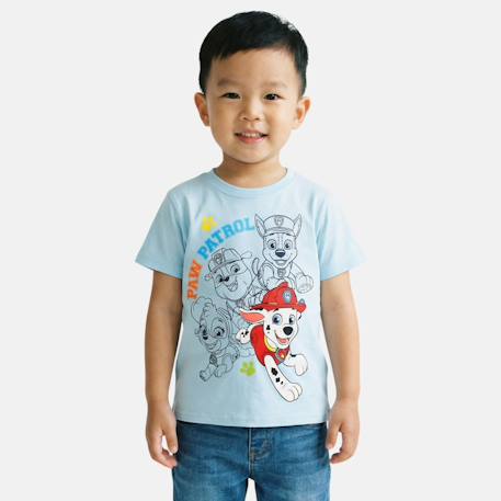 T-shirt manches courtes garçon avec personnage pat patrouille Bleu+Gris 1 - vertbaudet enfant 