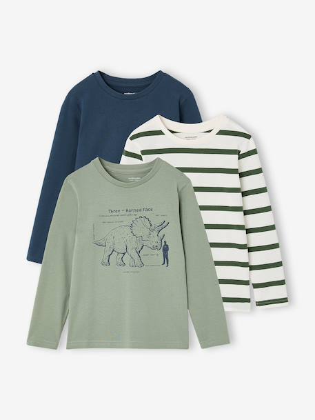 Lot de 3 T-shirts manches longues garçon caramel+lilas+rouille+vert sauge 20 - vertbaudet enfant 