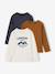 Lot de 3 T-shirts manches longues garçon caramel+lilas+rouille+vert sauge 1 - vertbaudet enfant 