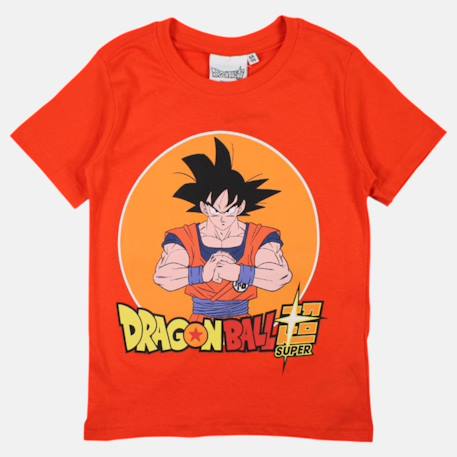 T-shirt imprimé avec personnage dragon ball z Orange 4 - vertbaudet enfant 