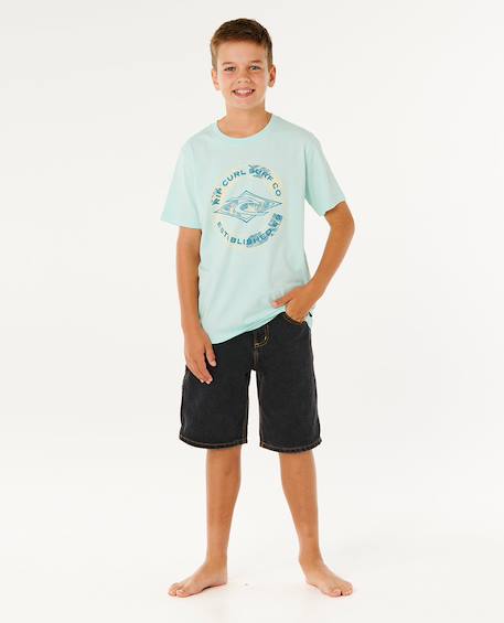 T-shirt staple filler garçon Aqua clair+Blanc 4 - vertbaudet enfant 