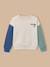 Sweat 'colorblock' garçon Ecru 1 - vertbaudet enfant 