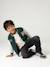 Sweat teddy garçon marine+vert sapin 13 - vertbaudet enfant 