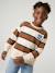 Sweat garçon col rond marine+noisette+pistache 7 - vertbaudet enfant 
