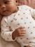 Lot de 5 bodies naissance fille manches longues écru 13 - vertbaudet enfant 