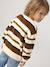 Pull garçon manches longues marine+noisette 16 - vertbaudet enfant 