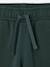 Pantalon de jogging garçon bleu jean+bordeaux+vert sapin 14 - vertbaudet enfant 