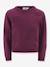 Pull avec fleurs fille Happy Girls bordeaux+marine 1 - vertbaudet enfant 